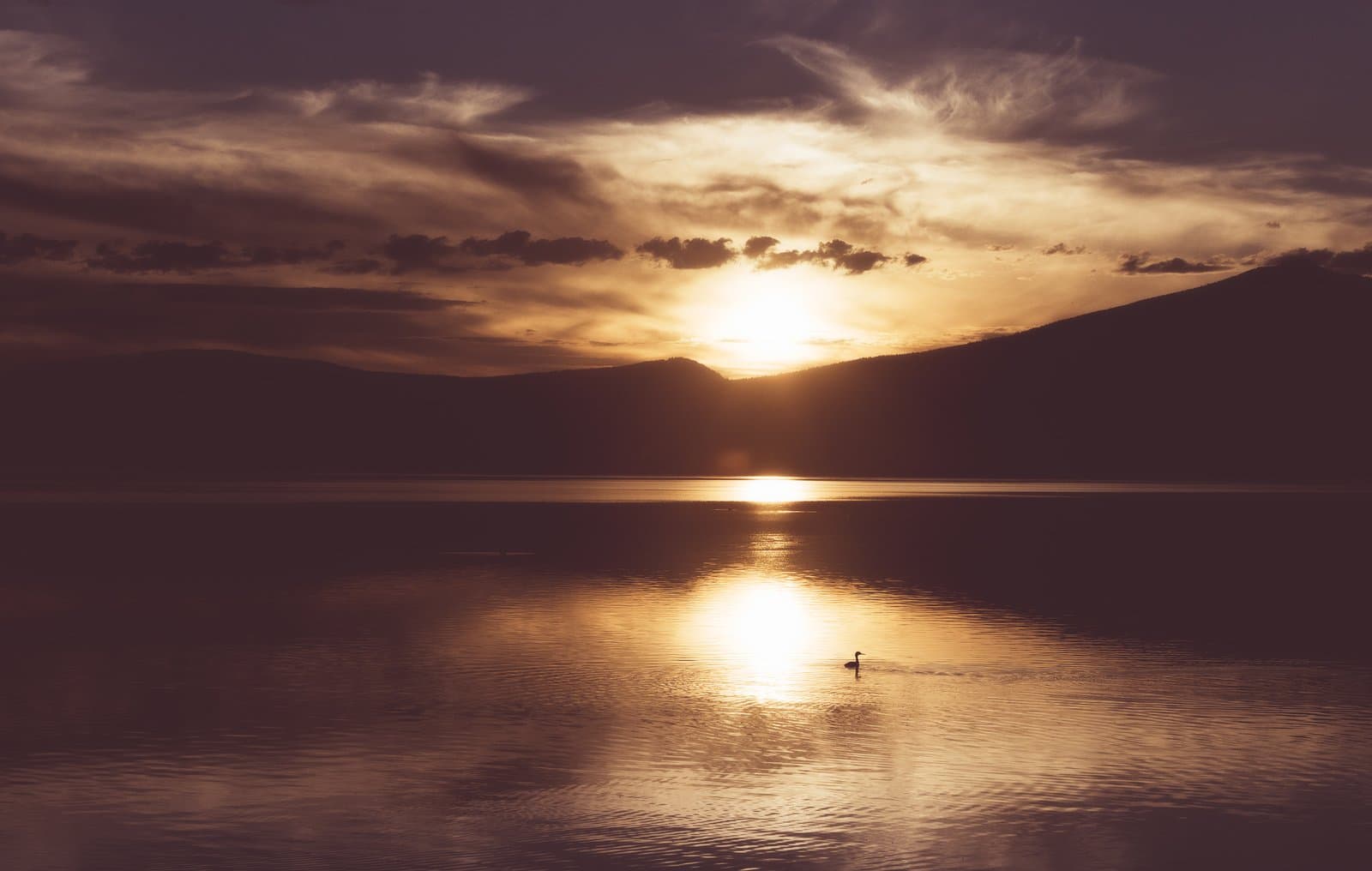water